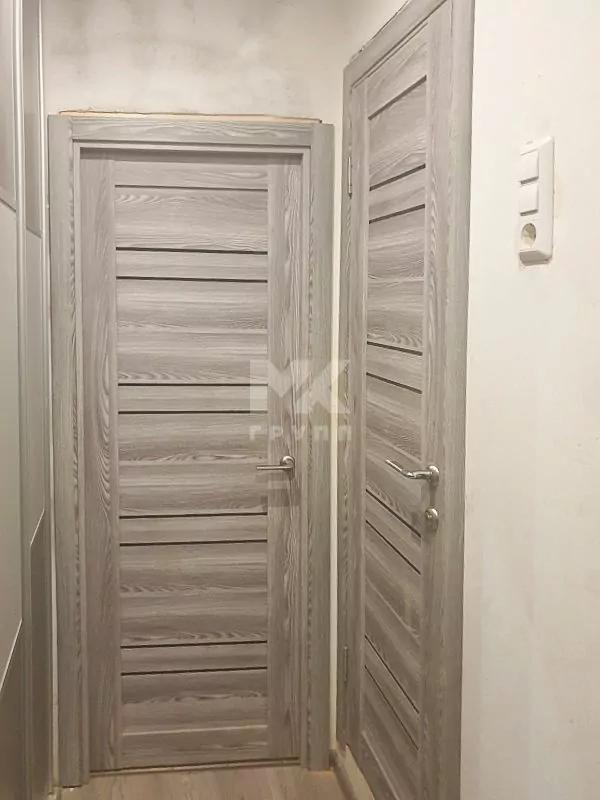 Family Doors Х-29. Family Doors Х-29. Grey veralinga