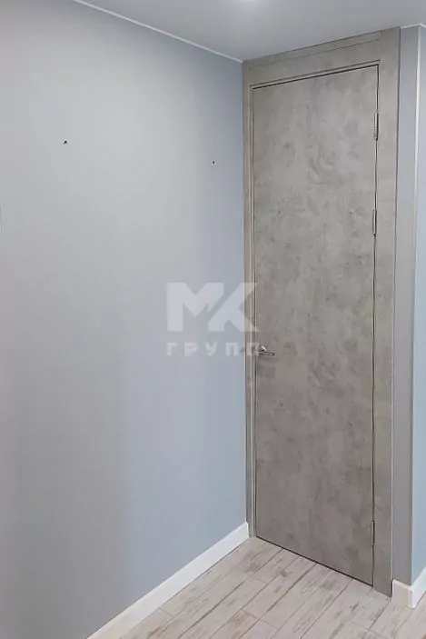 ДвериЯ ПГ Гладкое. ДвериЯ ПГ Гладкое, цвет Бетон натуральный.