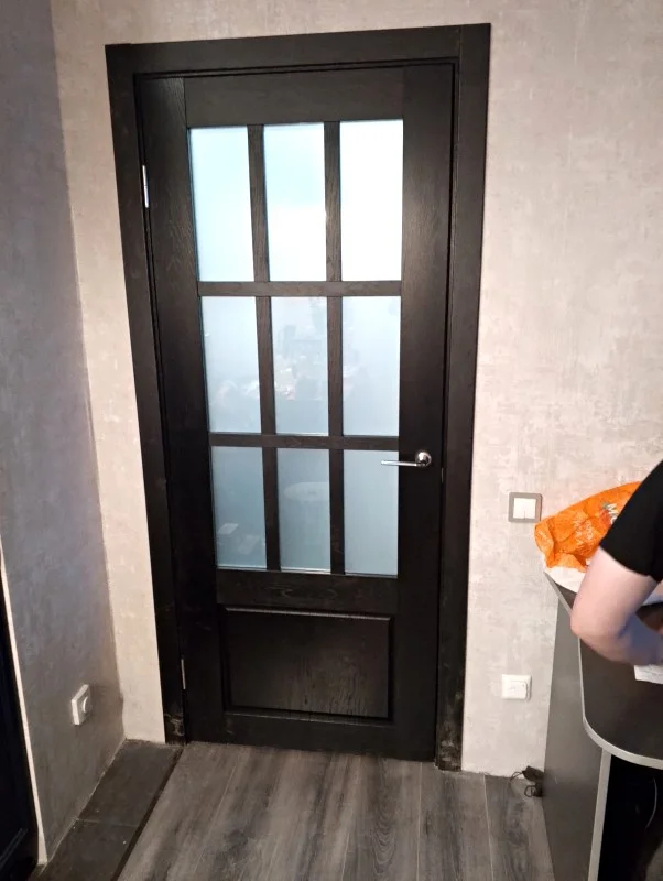 Dream Doors: ПО W20